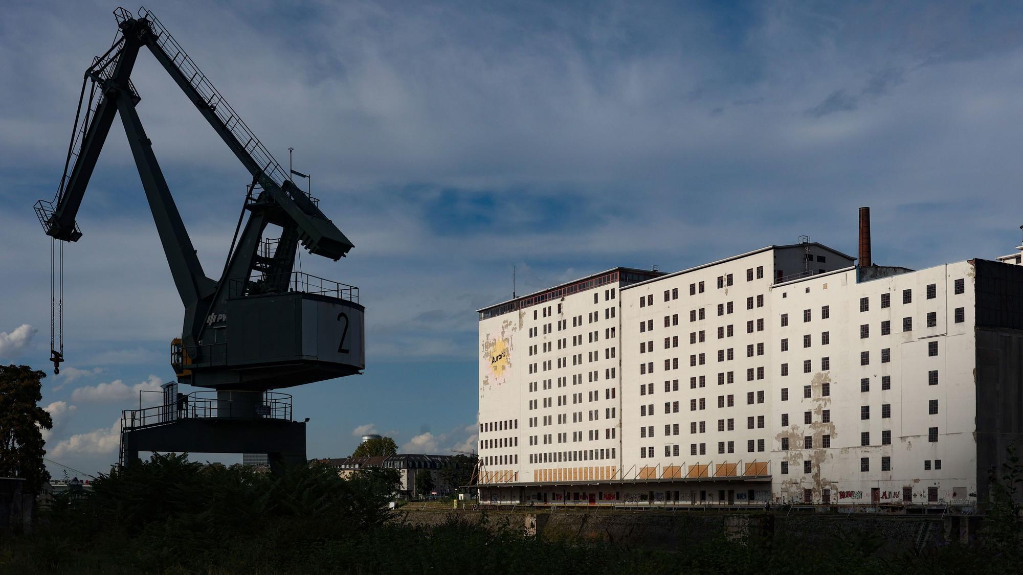 02.09.2023
Köln:
„Quartier in Sicht! - Informieren. Austauschen. Hafen erleben.“
Hafentag im Deutzer Hafen Köln
ehemaligen Mühlengebäude Aurora
Foto: Martina Goyert