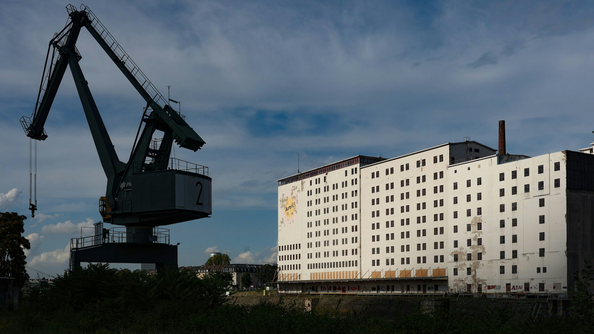 02.09.2023
Köln:
„Quartier in Sicht! - Informieren. Austauschen. Hafen erleben.“
Hafentag im Deutzer Hafen Köln
ehemaligen Mühlengebäude Aurora
Foto: Martina Goyert