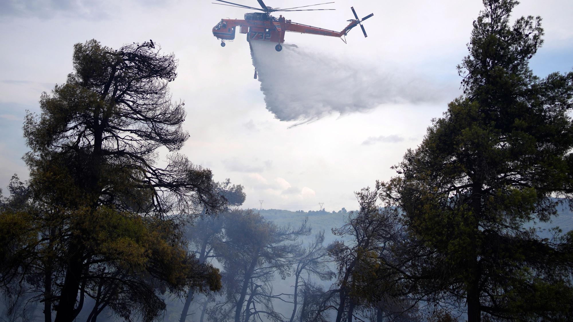 04.09.2023, Griechenland, Athen: Ein Hubschrauber schüttet während eines Waldbrandes Wasser über ein Waldgebiet.