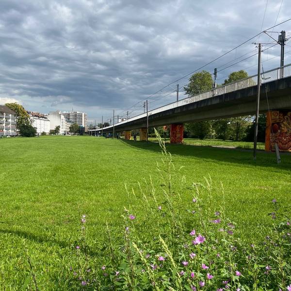 Eine große Wiese liegt neben einer auf Stelzen verlaufenden Bahntrasse.