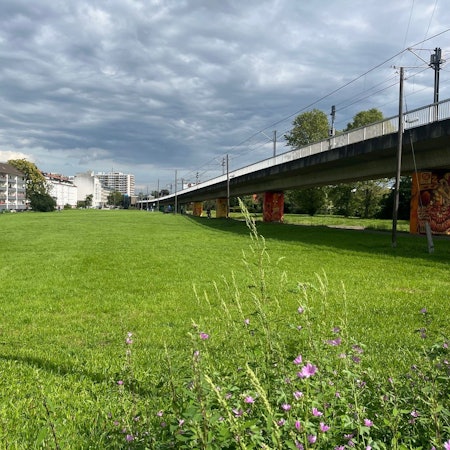 Eine große Wiese liegt neben einer auf Stelzen verlaufenden Bahntrasse.