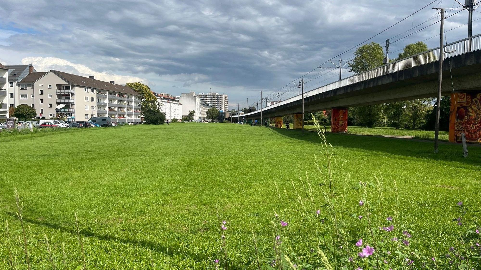 Blick von der Merheimer Straße auf den ersten Teil des geplanten Grünzuges.