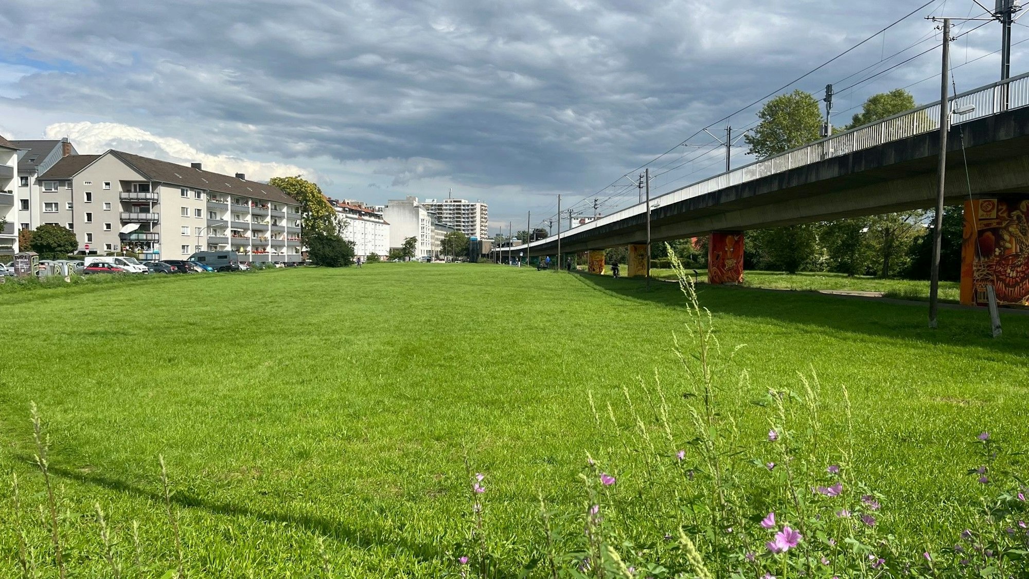 Eine große Wiese liegt neben einer auf Stelzen verlaufenden Bahntrasse.