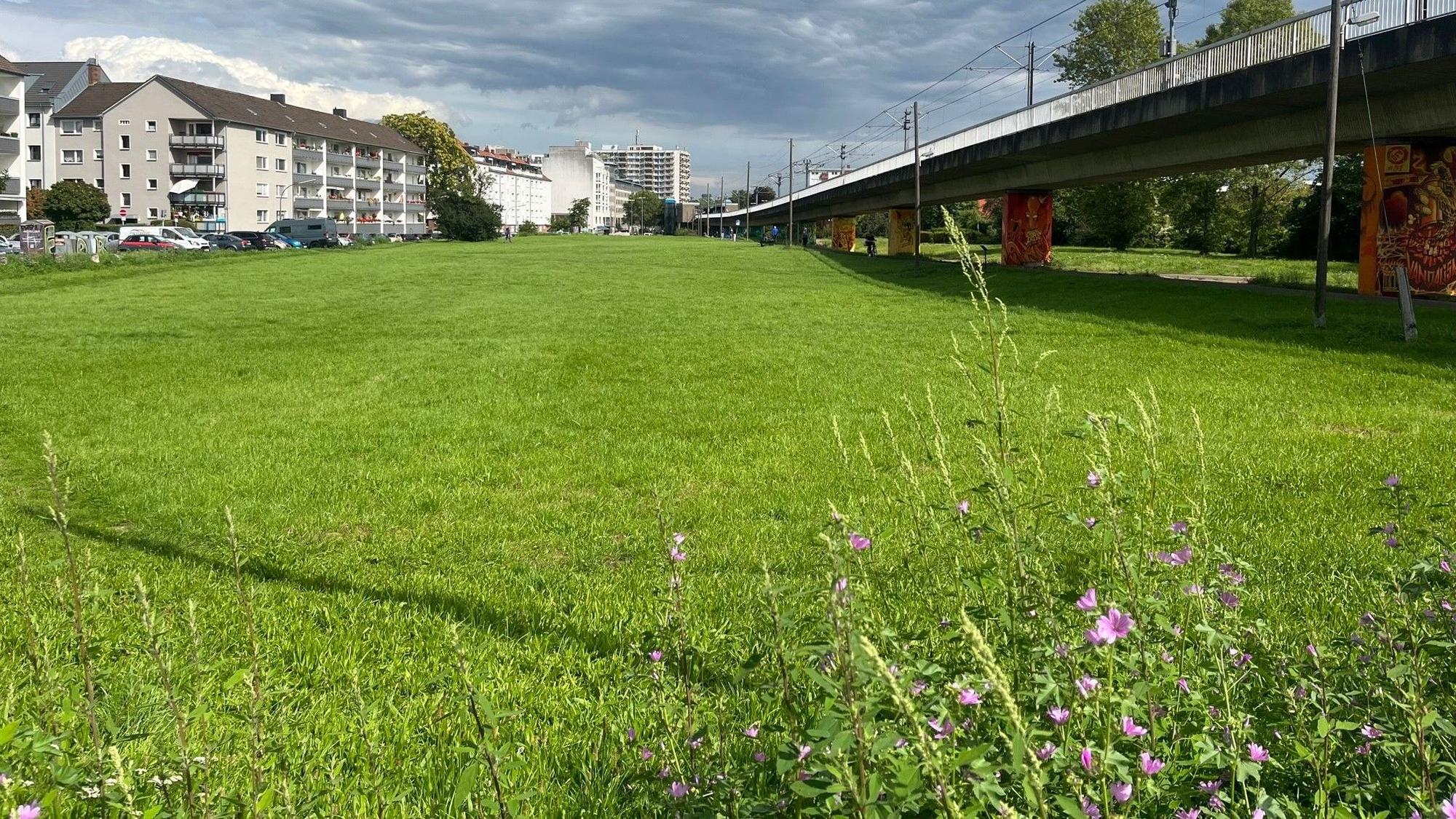 Blick von der Merheimer Straße auf den ersten Teil des geplanten Grünzuges.