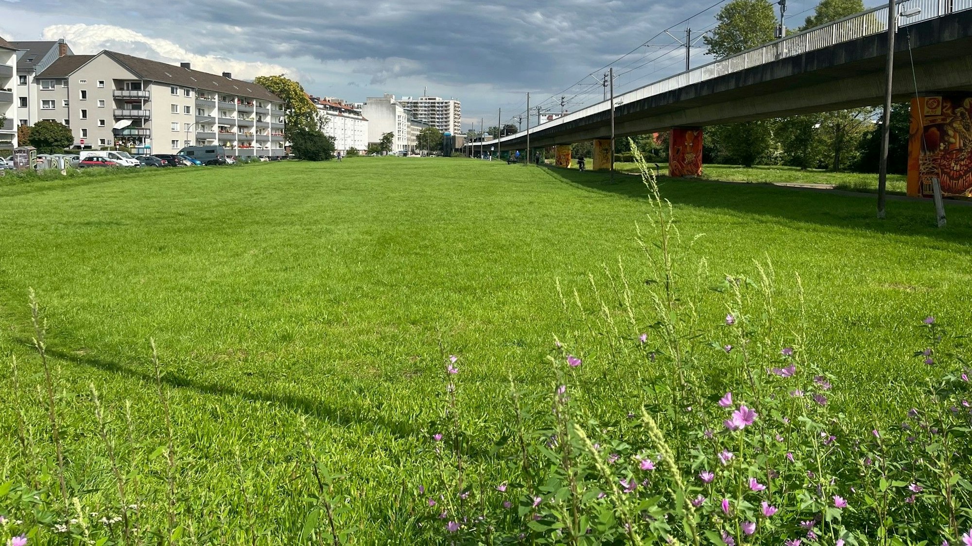 Blick von der Merheimer Straße auf den ersten Teil des geplanten Grünzuges.