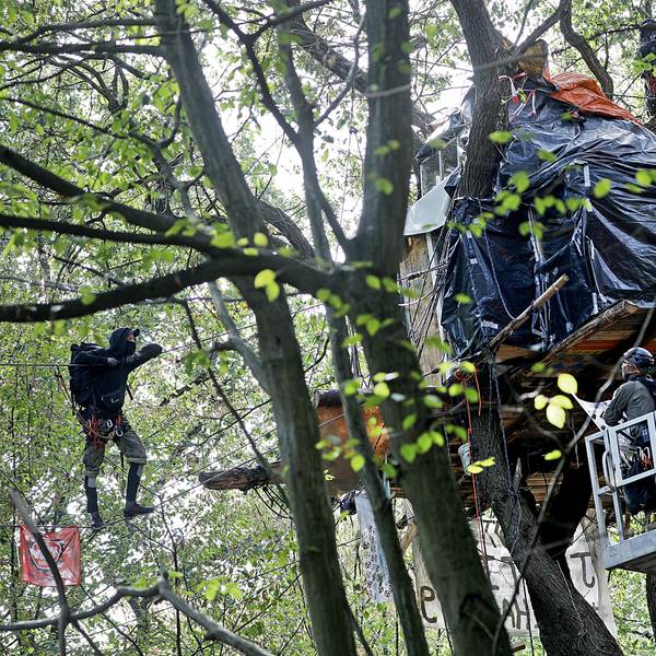 17.09.2018, Nordrhein-Westfalen, Kerpen: Polizisten nähern sich in einem Hubwagen einem Baumhaus.