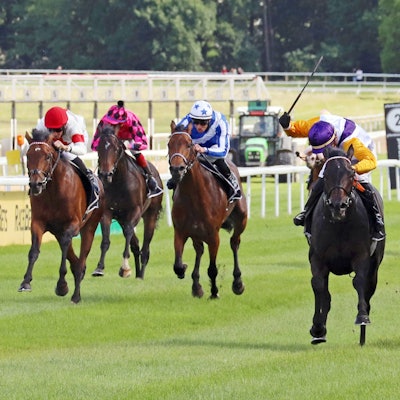 Mehrere Jockeys reiten auf ihren Pferden auf der Galopprennbahn in Weidenpesch.