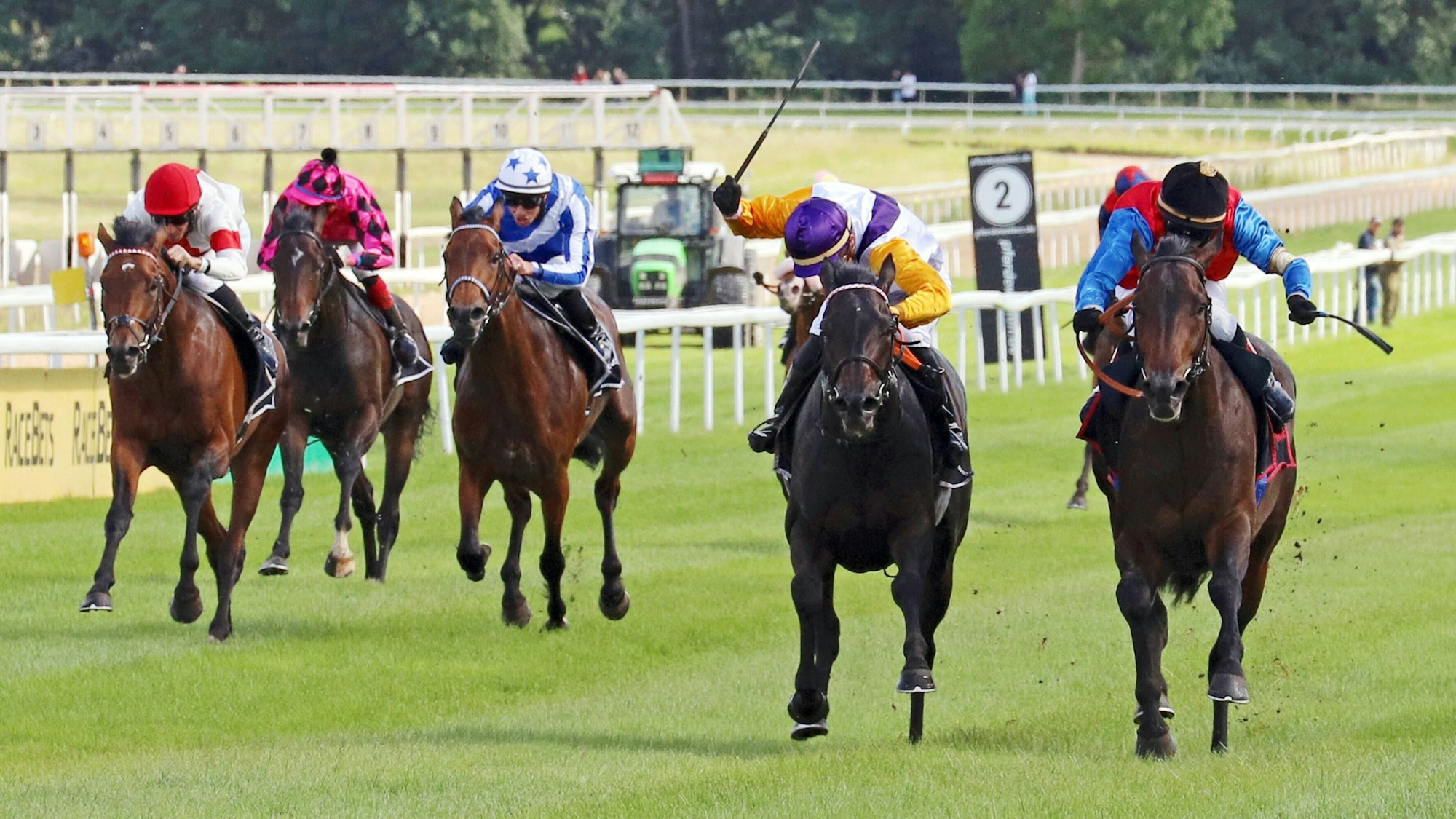 Fünf Pferde, auf denen Jockeys sitzen, im Rennen auf der Kölner Galopprennbahn