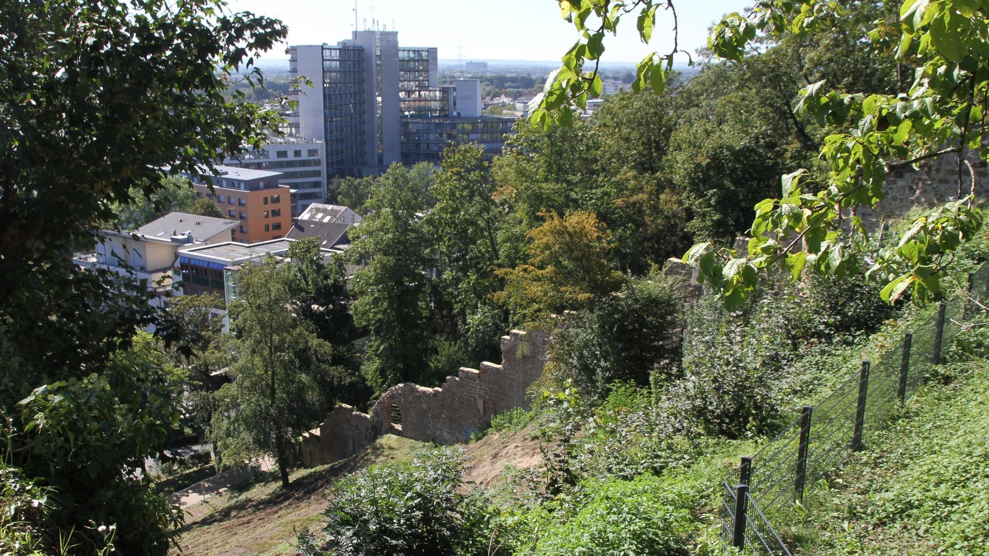 Blick auf das Kreishaus in Siegburg vom Michaelsberg aus