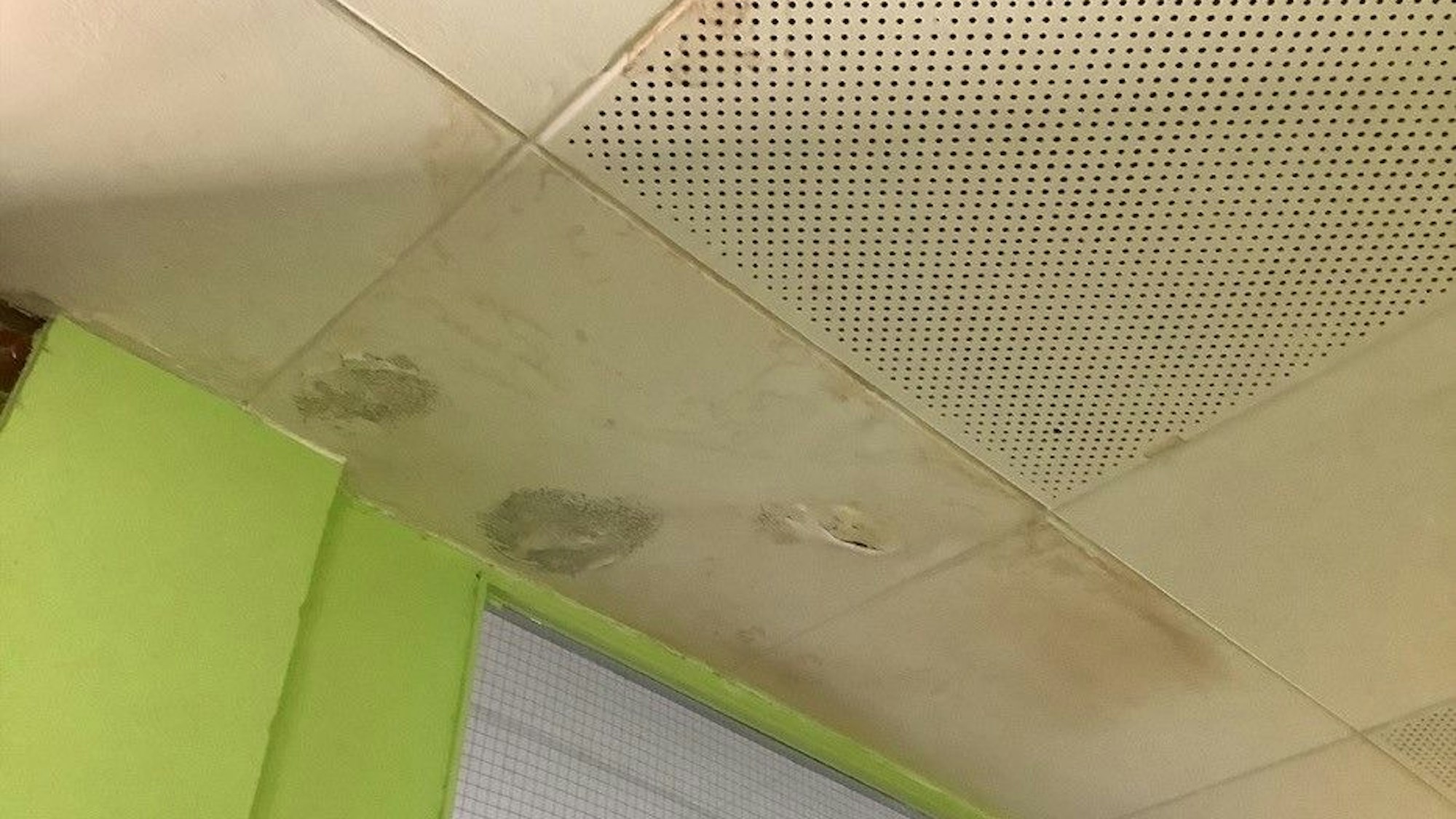 Auf dem Bild ist eine undichte Decke mit Feuchtigkeitsflecken zu sehen.