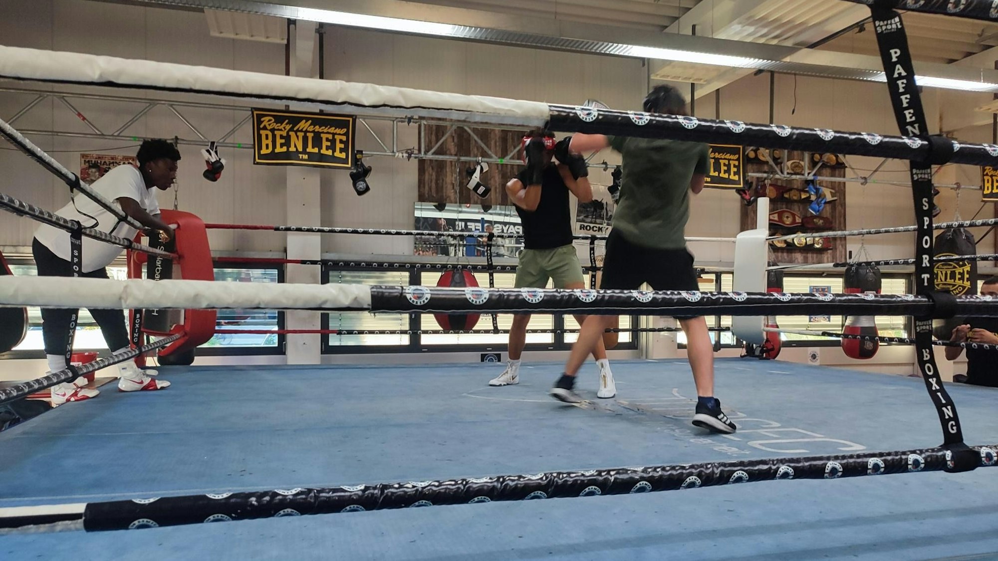 Im No Limit Fight Boxstudio trainieren zwei Boxer im Ring unter Aufsicht.