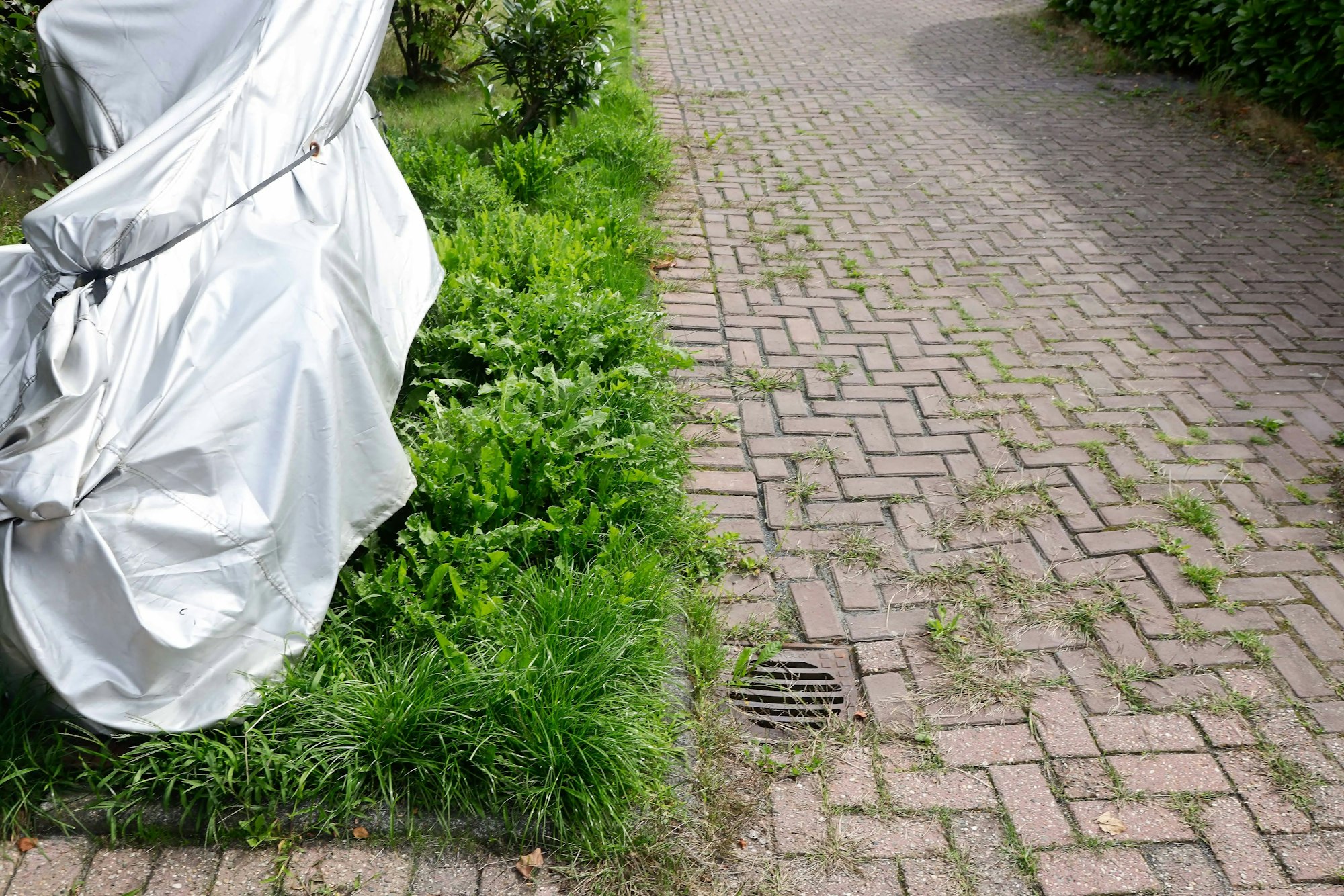 Weg mit Grenzsteinen in Weiden