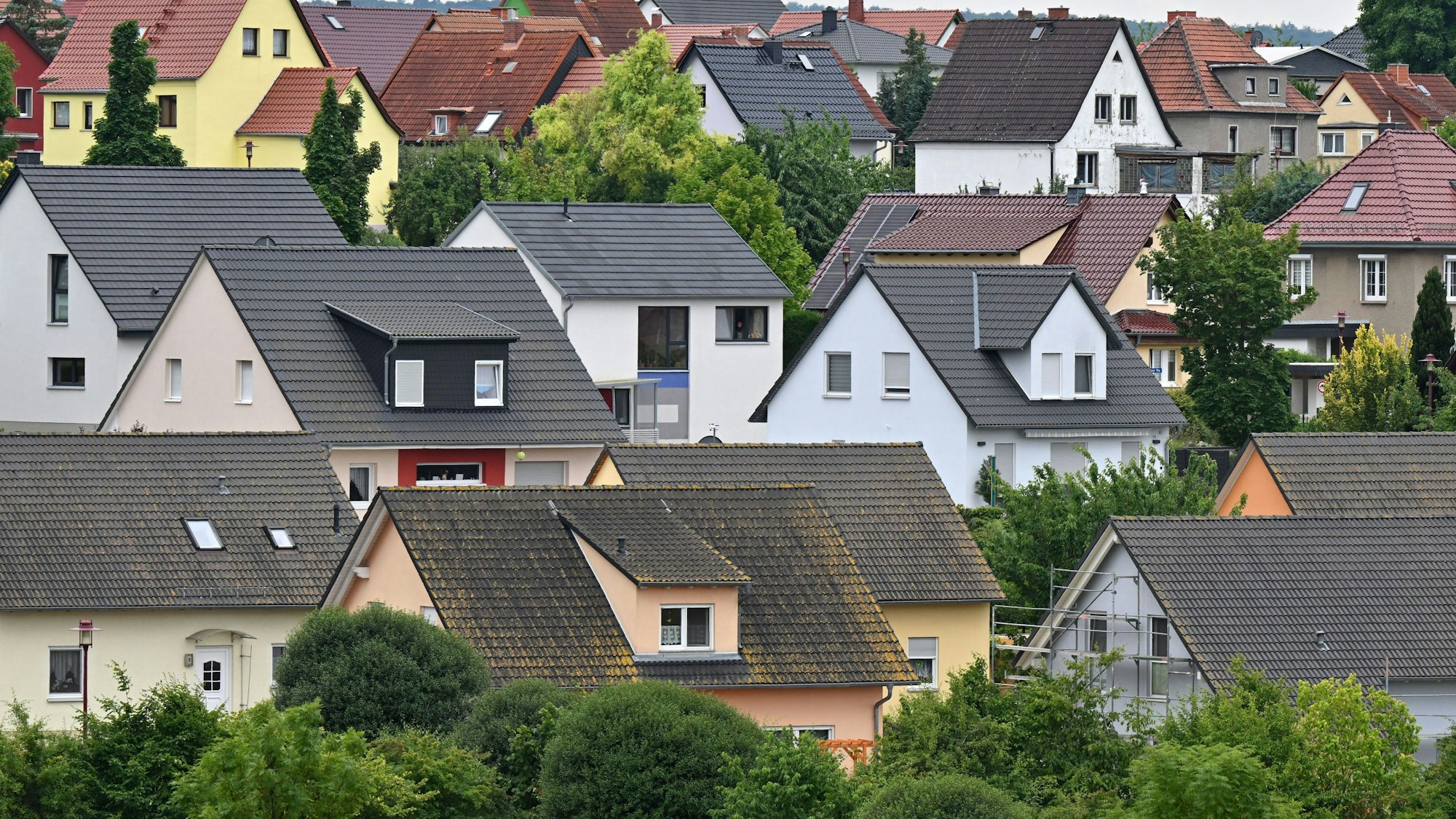 Viele Einfamilienhäuser sind zu sehen, drumherum Baumgrün.