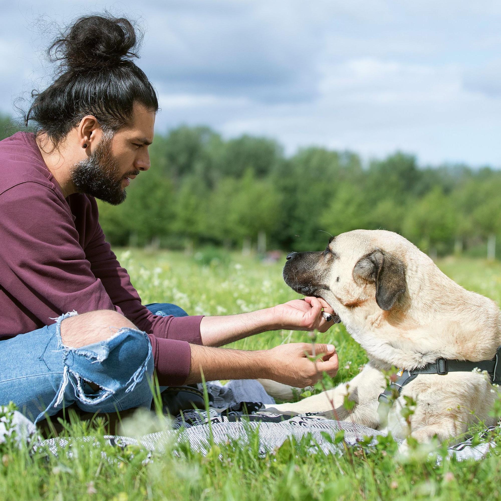Hunde-Verhaltenstherapeut Masih Samin mit seiner Hündin Mädchen