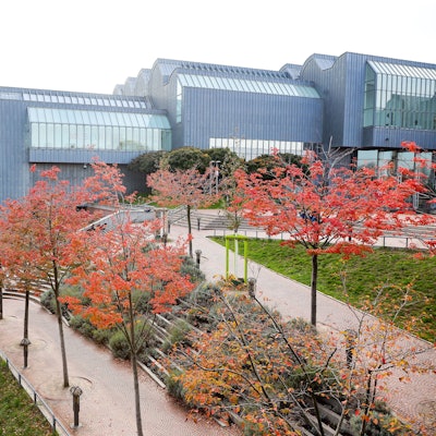 Blick auf das Museum Ludwig und die Philharmonie.
