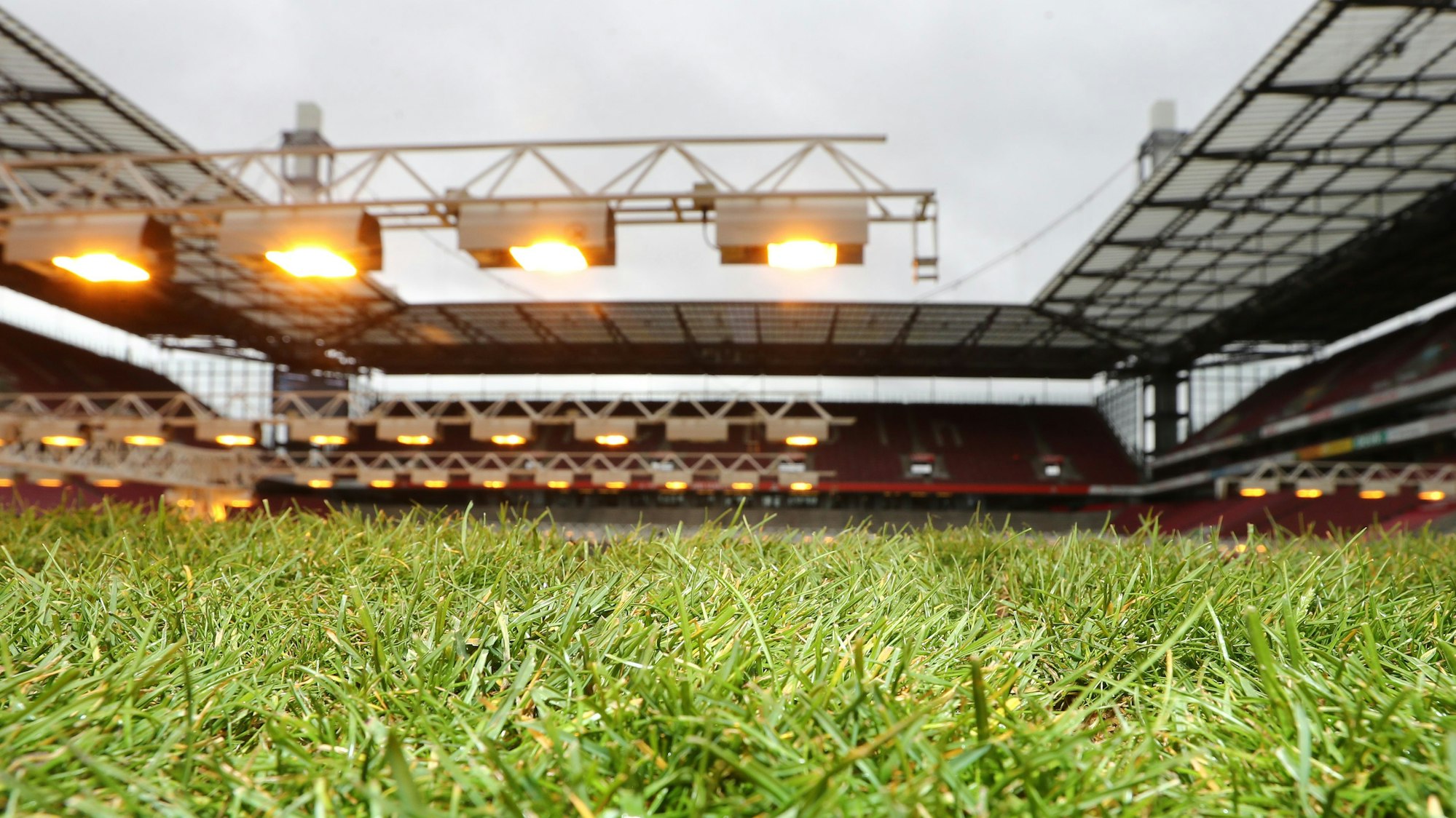 Der Rasen im Rhein-Energie-Stadion wird vor dem Heimspiel gegen Hoffenheim erneuert. (Archivbild)