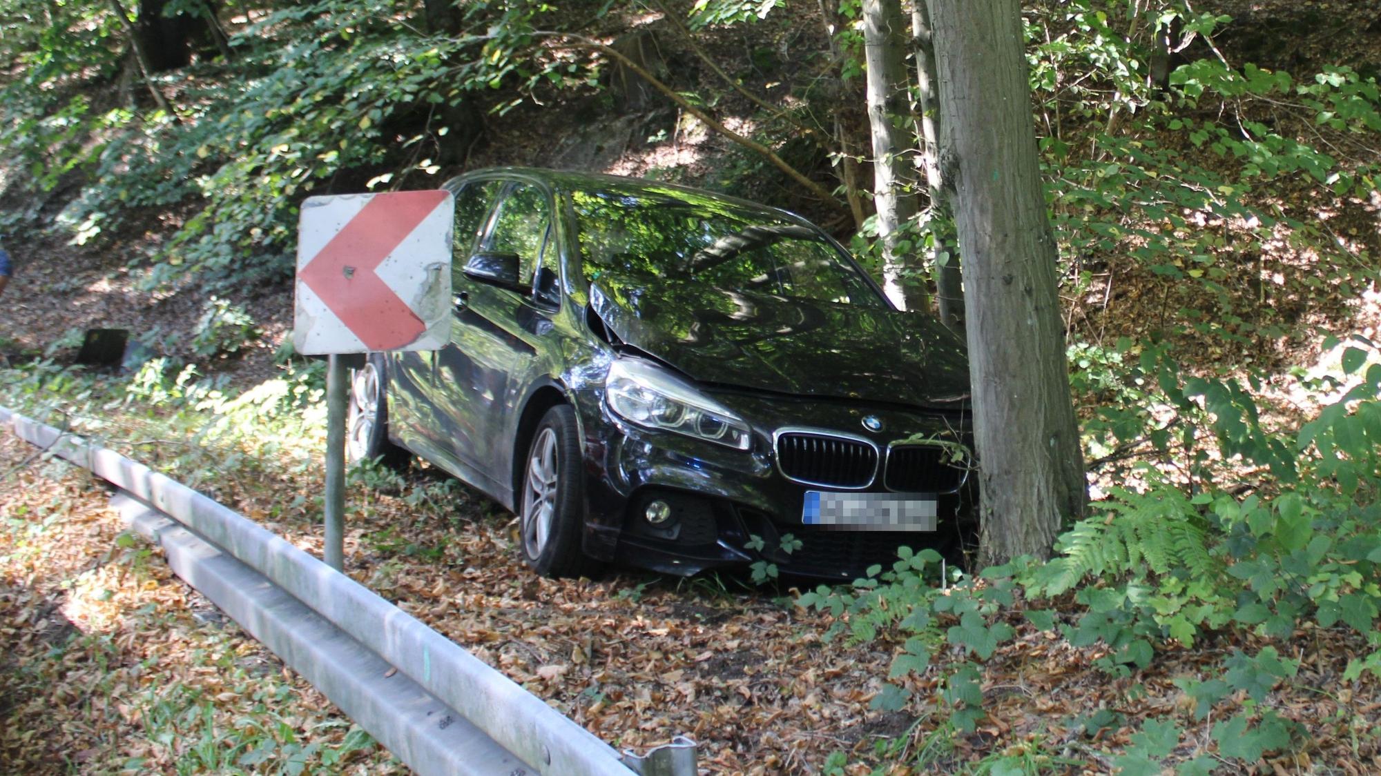 Der BMW kam auf dem Grünstreifen vor dem Baum zum Stehen.