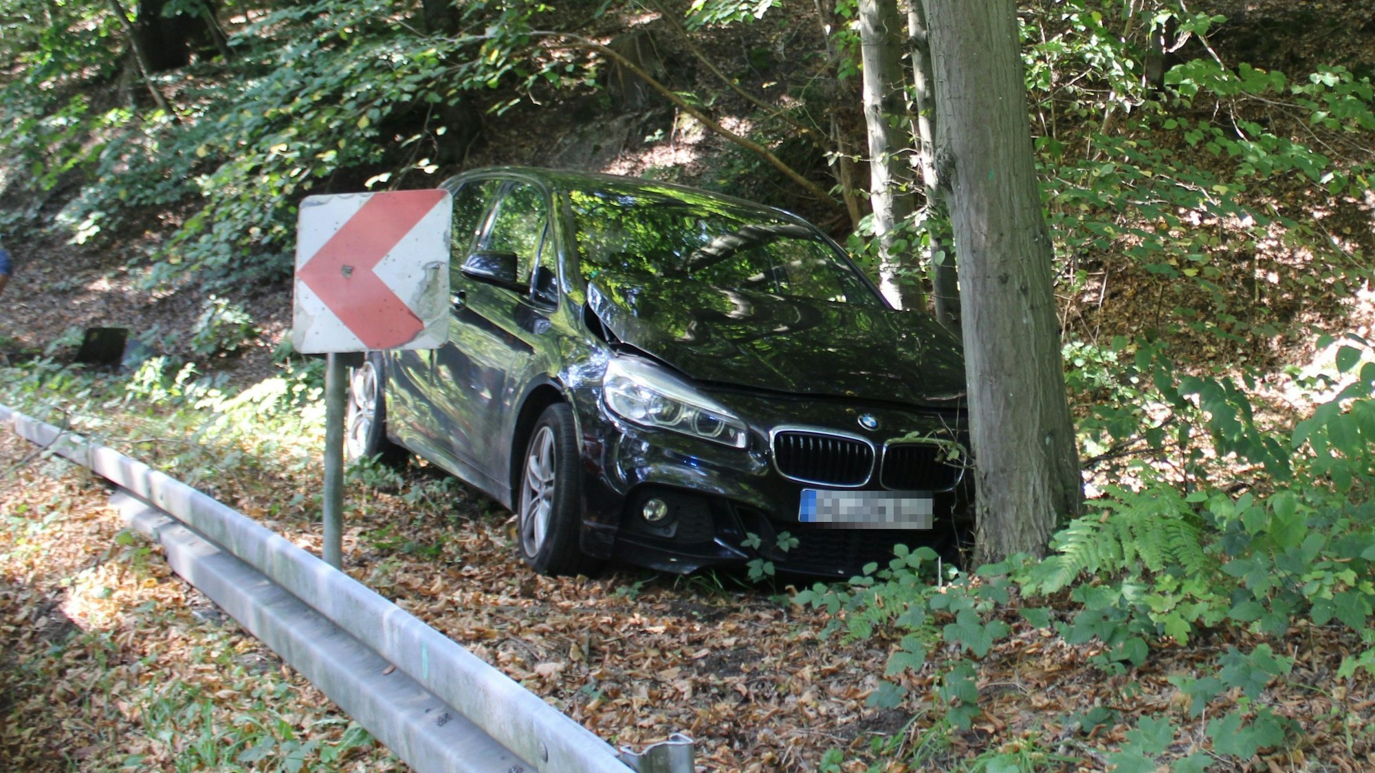 Der BMW kam auf dem Grünstreifen vor dem Baum zum Stehen.