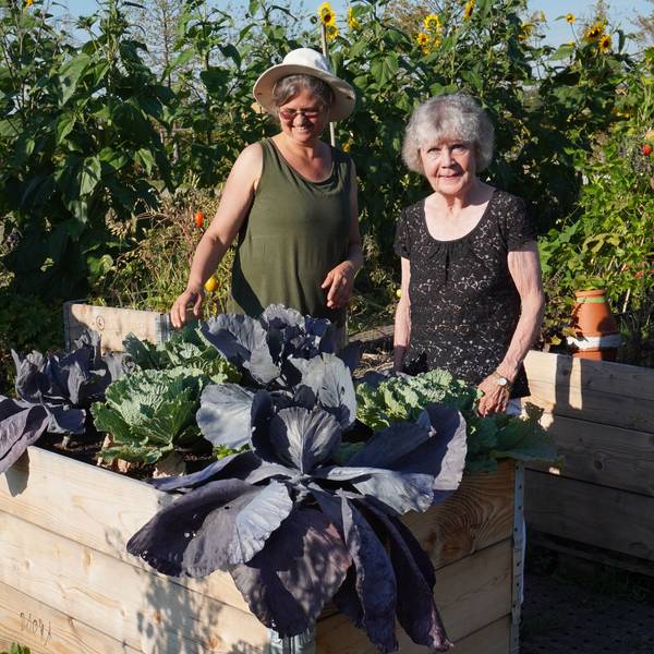 Zwei Frauen hinter einem Hochbeet mit üppig wachsendem Kohl.