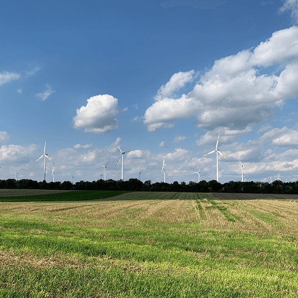 Das Foto zeigt den Windpark in Bedburg.