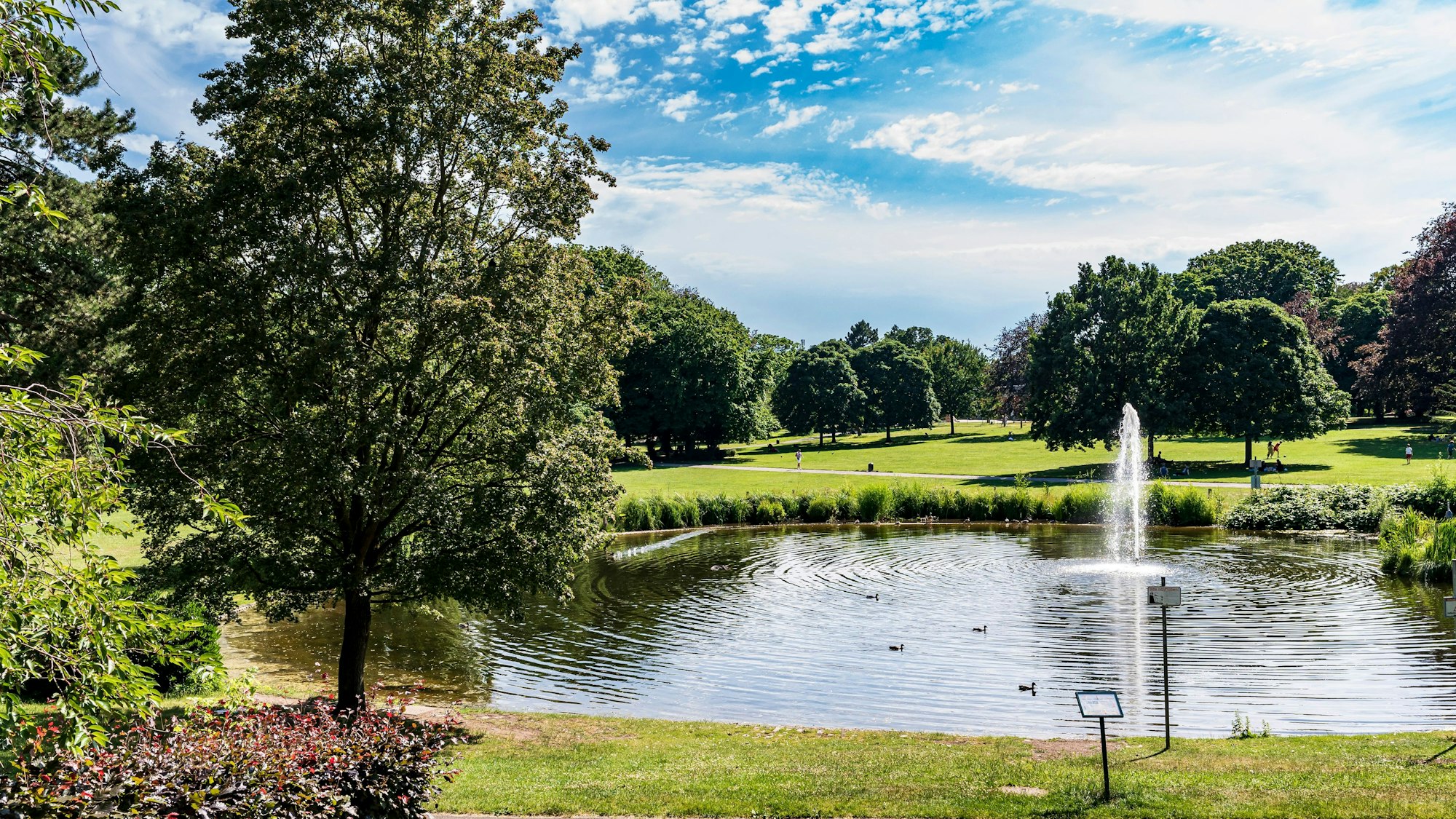 Parks in Köln: Sechs Grünanlagen auf der rechten Rheinseite | Kölner ...