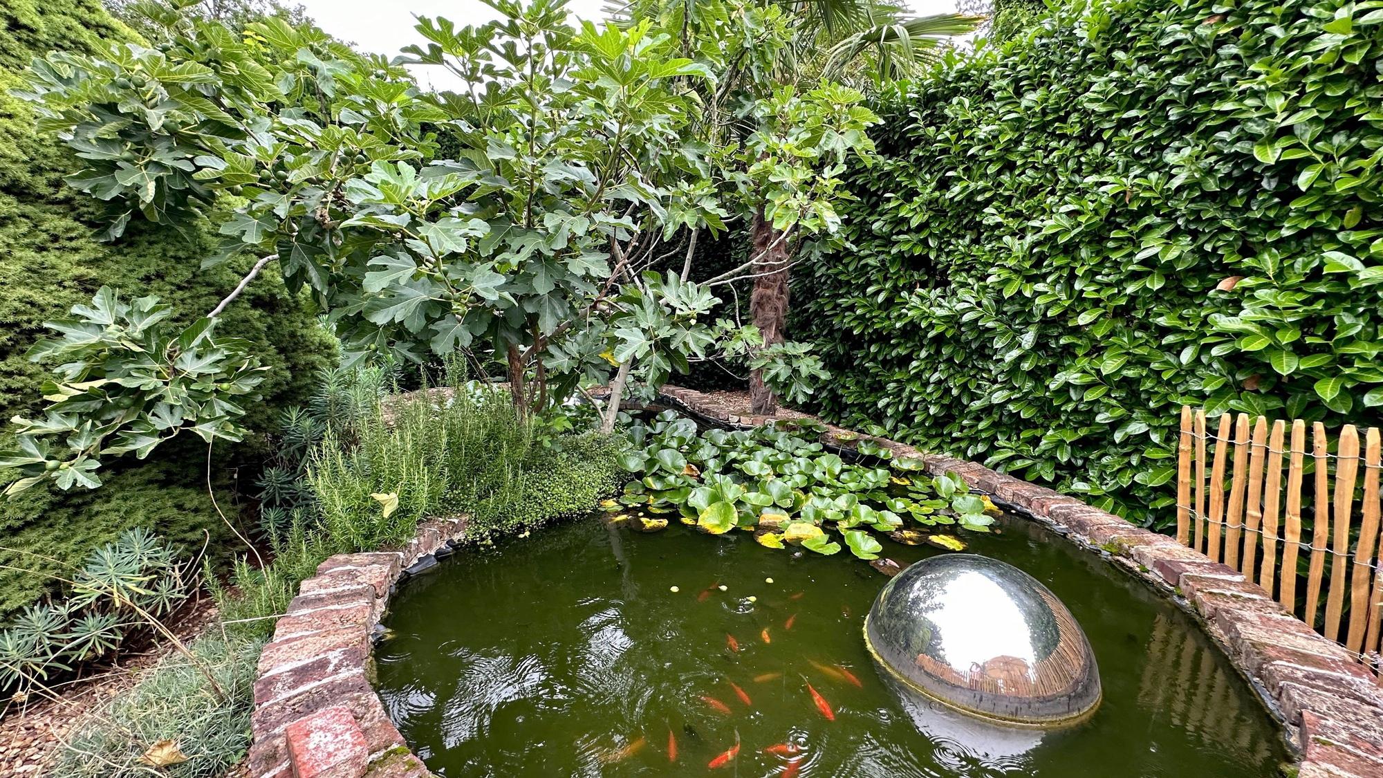 Ein Teich mit Goldfischen ist zu sehen, dahinter üppiges Grün.