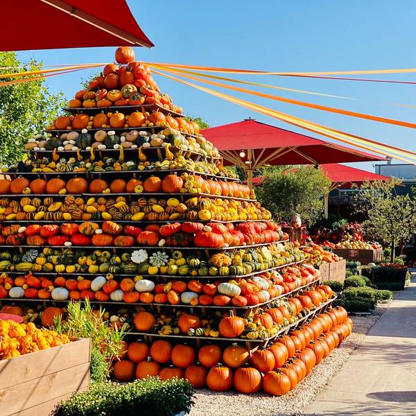 Eine riesige Pyramide aus gelben, grünen, orangen und roten Kürbissen ziert das Gelände des Getrudenhofs in Hürth