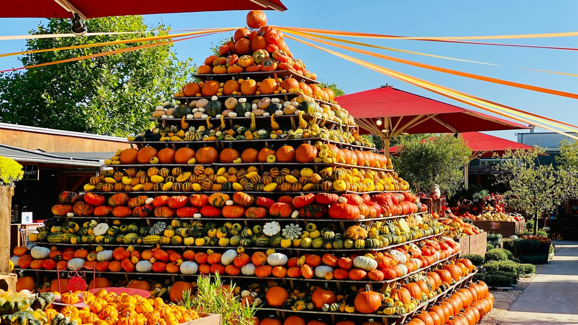 Eine riesige Pyramide aus gelben, grünen, orangen und roten Kürbissen ziert das Gelände des Getrudenhofs in Hürth