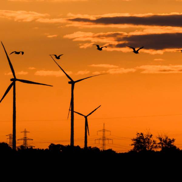 Vögel fliegen bei Sonnenaufgang an Windkraftanlagen vorbei.