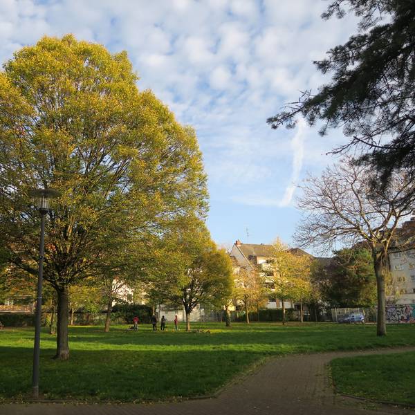 Grünflächen in Kalk: Der ruhige Teil des Breuerparks.