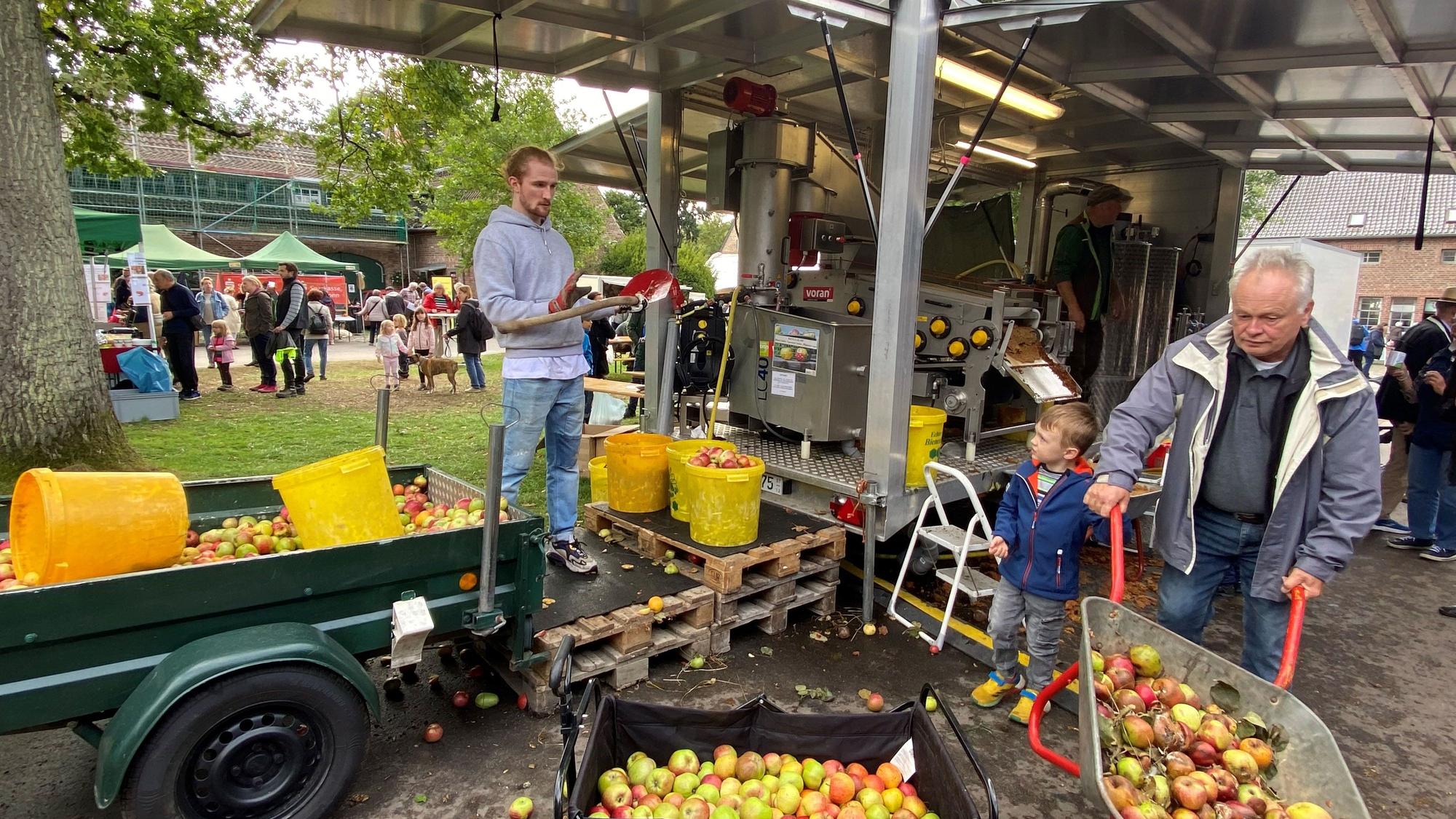 На Apple Day в Gut Leidenhausen мобильный пресс для фруктов превращает яблоки, которые посетители привезли с собой в тачках, во вкусный сок.