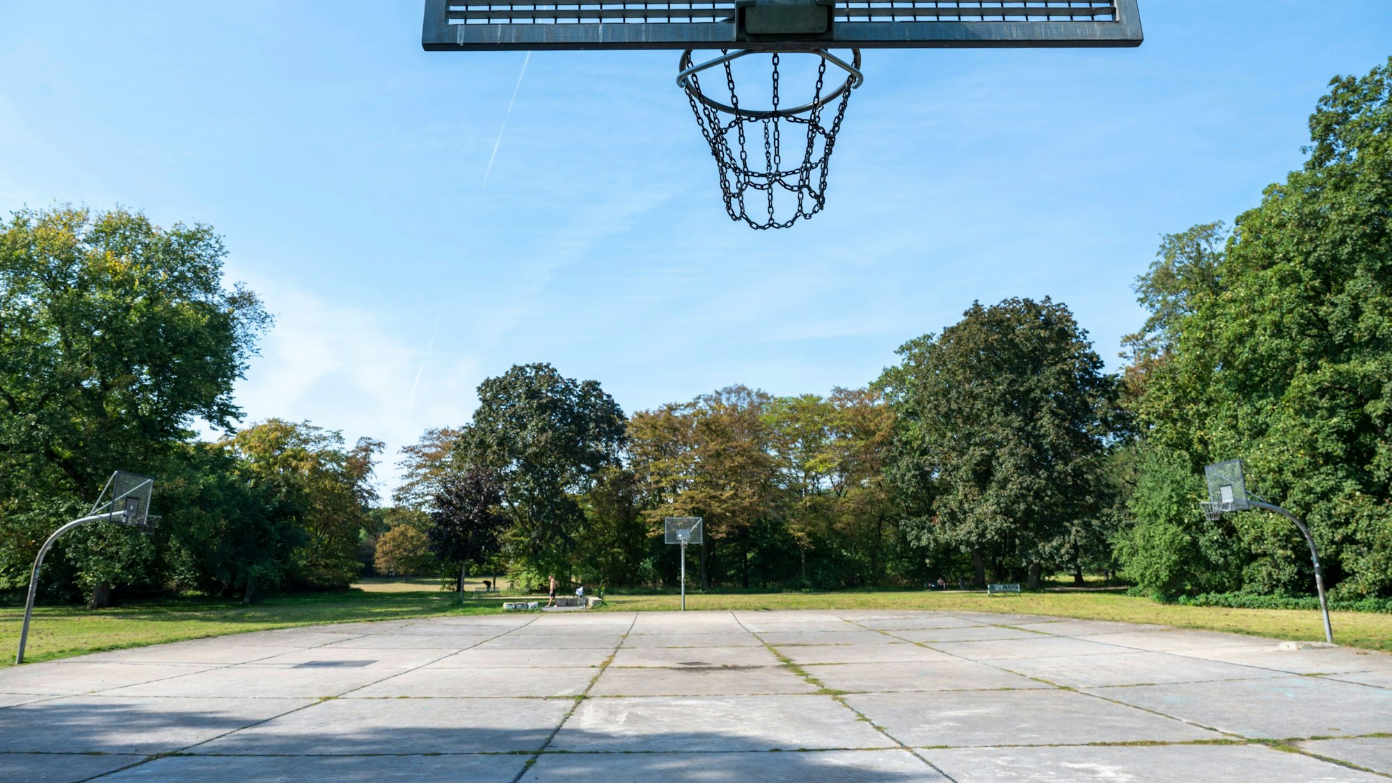 Basketballplatz im grünen Vorgebirgspark mit vier Körben.