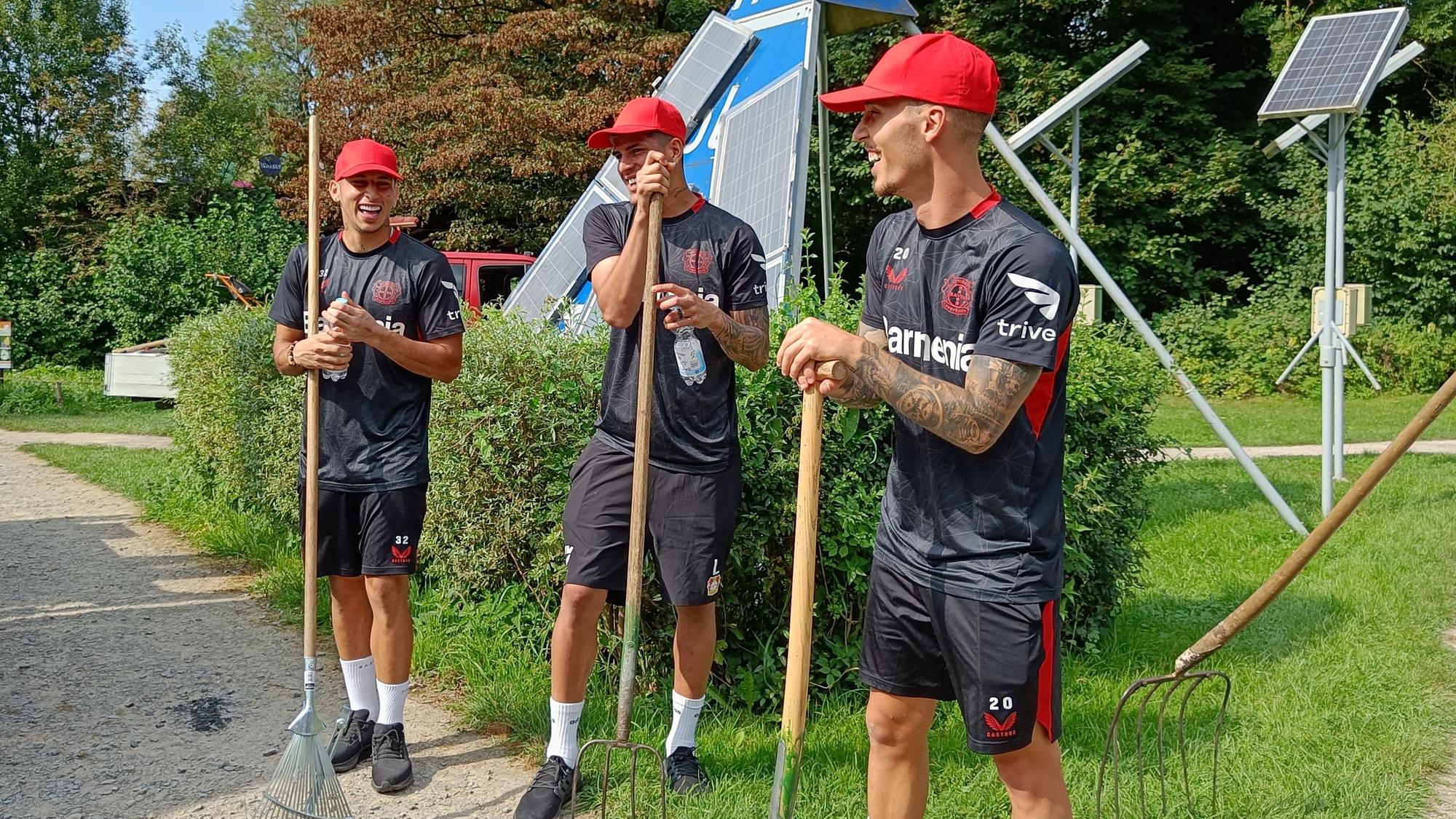 Drei Spieler in Werkself-Trikots mit Rechen und Heugabeln auf einer Wiese.