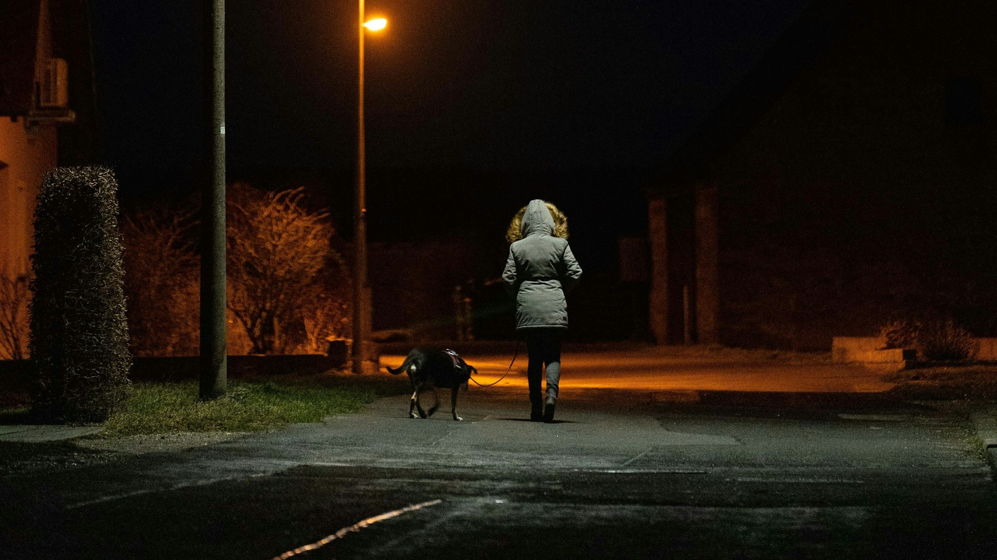 Eine Frau geht früh am Morgen mit ihrem Hund Gassi.