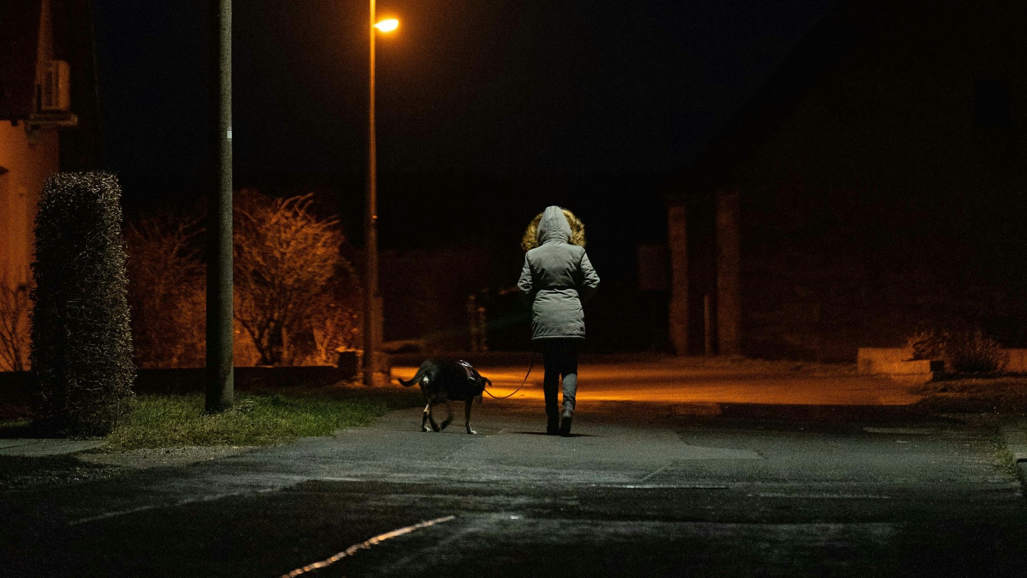 Eine Frau geht früh am Morgen mit ihrem Hund Gassi.