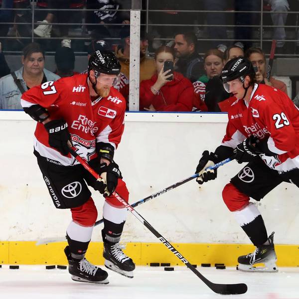 Die Kölner Haie erwarten gegen die Augsburg Panther erneut viele Zuschauer in der Lanxess-Arena.