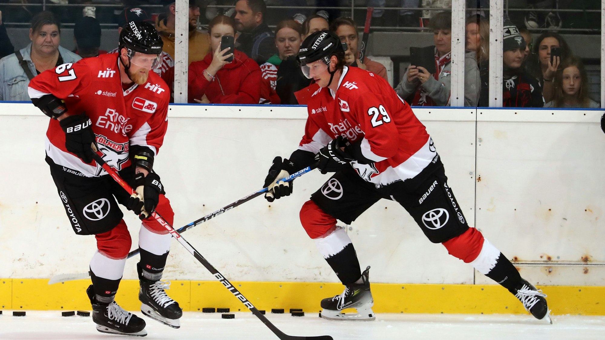 Die Kölner Haie erwarten gegen die Augsburg Panther erneut viele Zuschauer in der Lanxess-Arena.