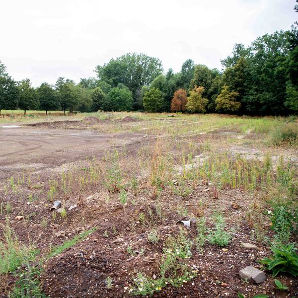 Der Sportplatz in Roitzheim, der 2021 von der Flut zerstört wurde, ist mittlerweile eine Brachfläche voller Unkraut.