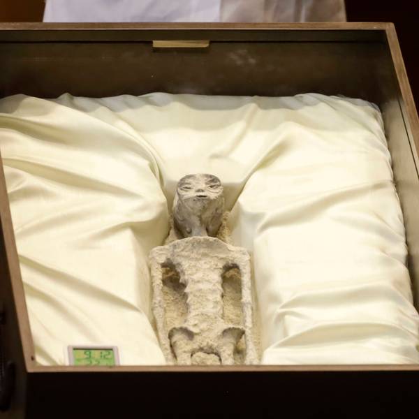 Die angebliche Alien-Mumie bei der öffentlichen Anhörung über unidentifizierte anomale Phänomene im Abgeordnetenhaus von Mexiko-Stadt am 12. September 2023.