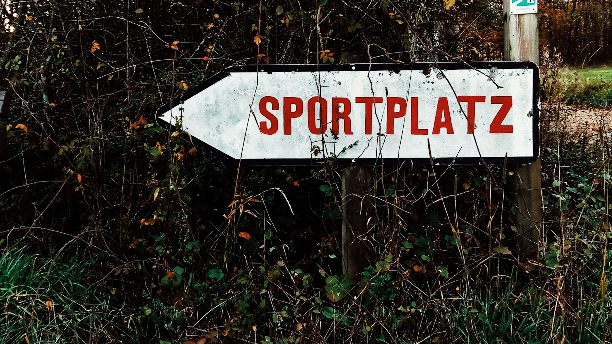 Ein Hinweisschild vor einer Dornenhecke weist den Weg zu einem Sportplatz.
