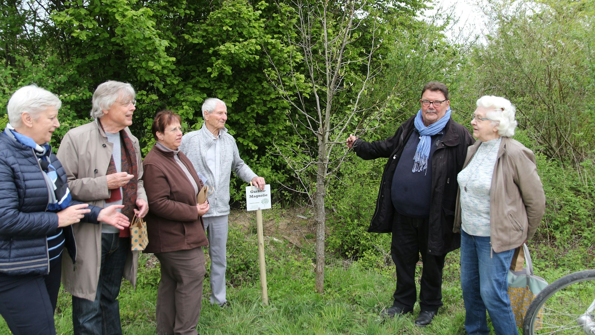 Sechs Personen haben sich um eine Gurken-Magnolie versammelt.