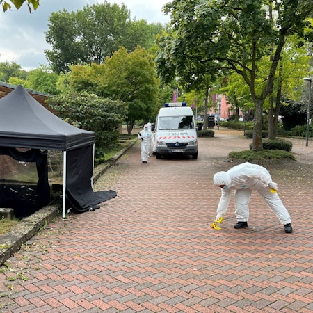 Die Polizei sichert Spuren am Seitenfenster, durch das die Einbrecher ins Museum eingedrungen sind.