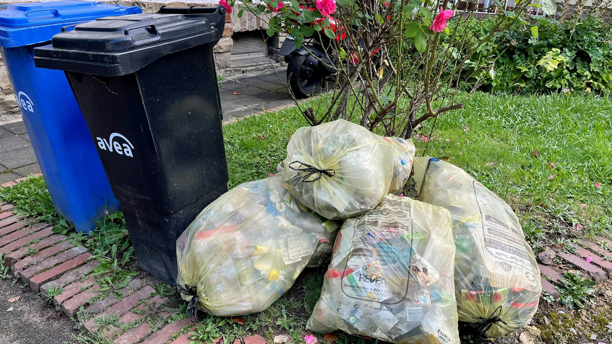 Gelbe Säcke liegen neben einer grauen Restmüll- und einer blauen Papiertonne