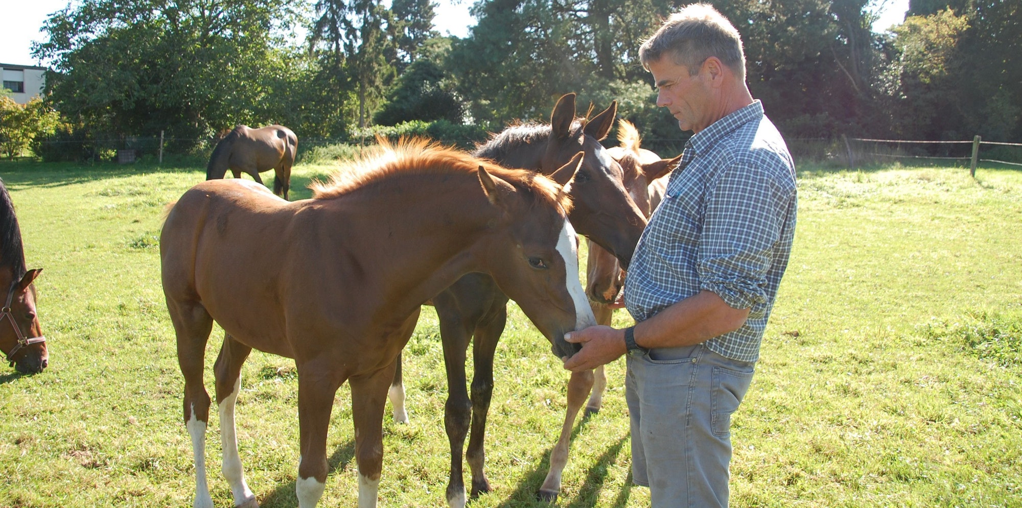 Georg Hummelsheim mit Tieren auf seiner Pferdepension