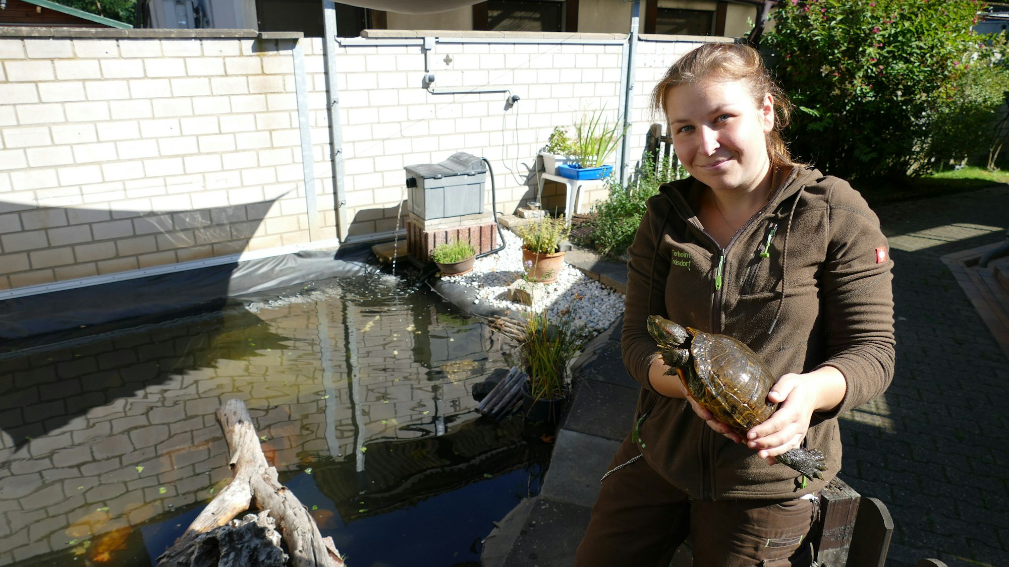 Eine Tierpflegerin hält eine Schildkröte in der Hand.