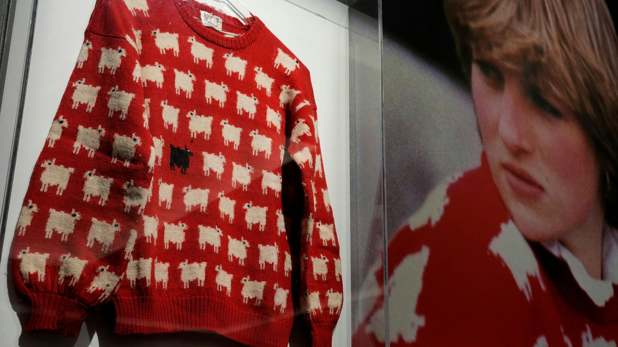 Der rote Pullover mit weißen Schäfchen.