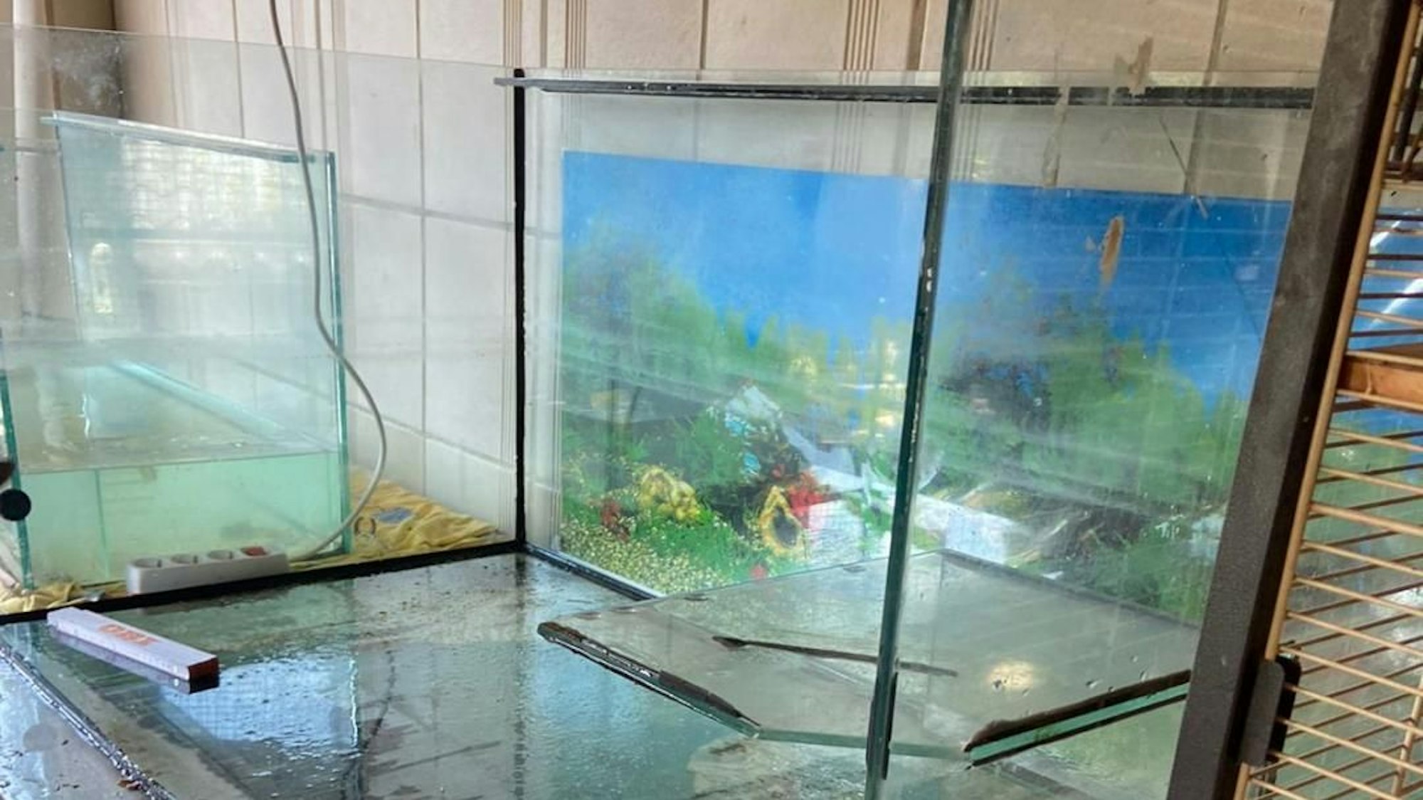 Ein zerstörtes Aquarium.