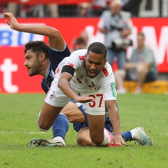 Maina fällt auf den Boden