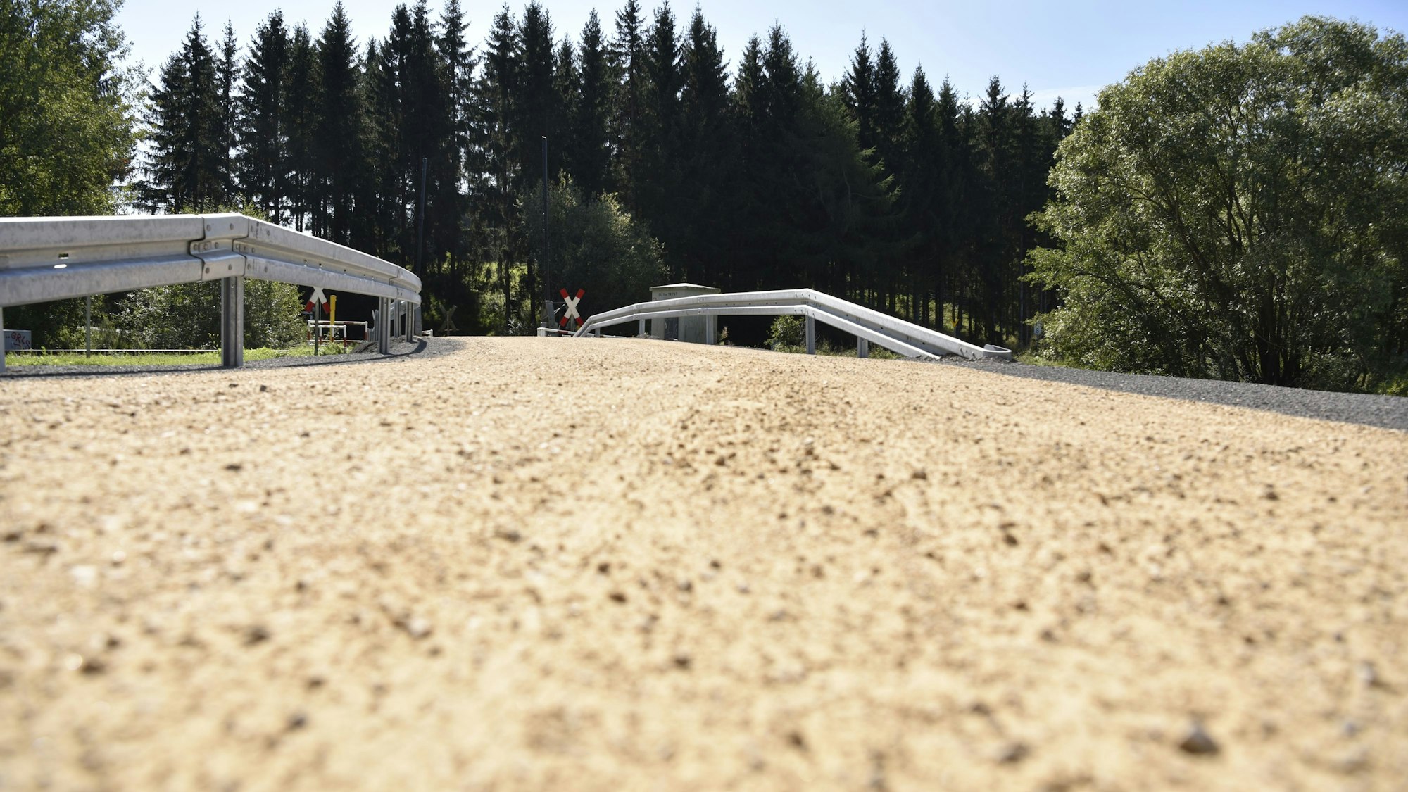 Der Weg führt über eine Brücke in Richtung Wald.