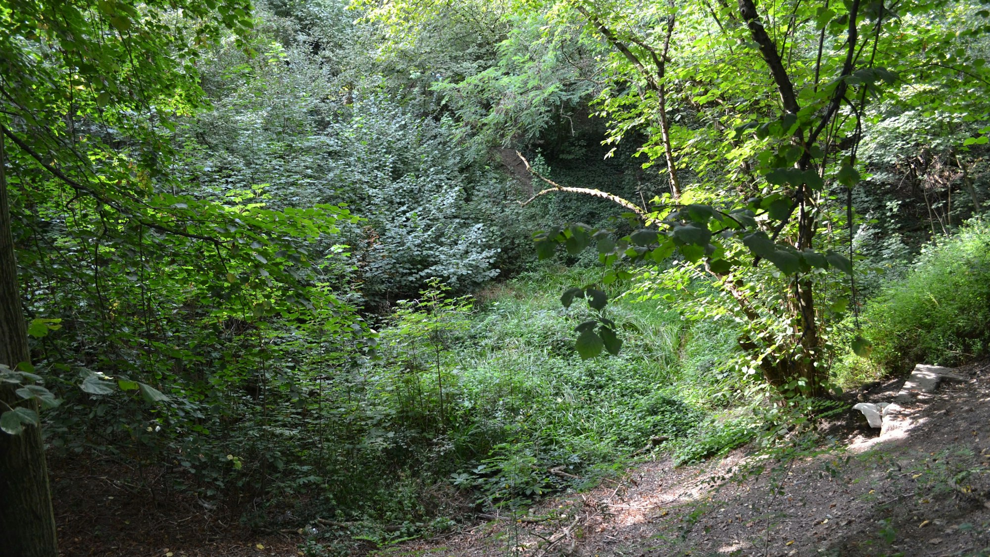 Das Foto zeigt einen Blick in die alte Tongrube.